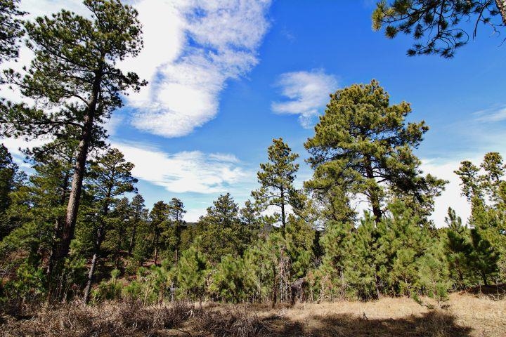 20788 Aspen Hollow Road