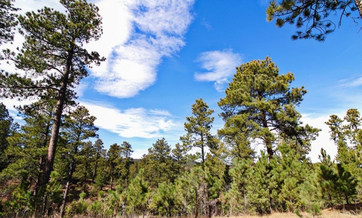 20788 Aspen Hollow Road