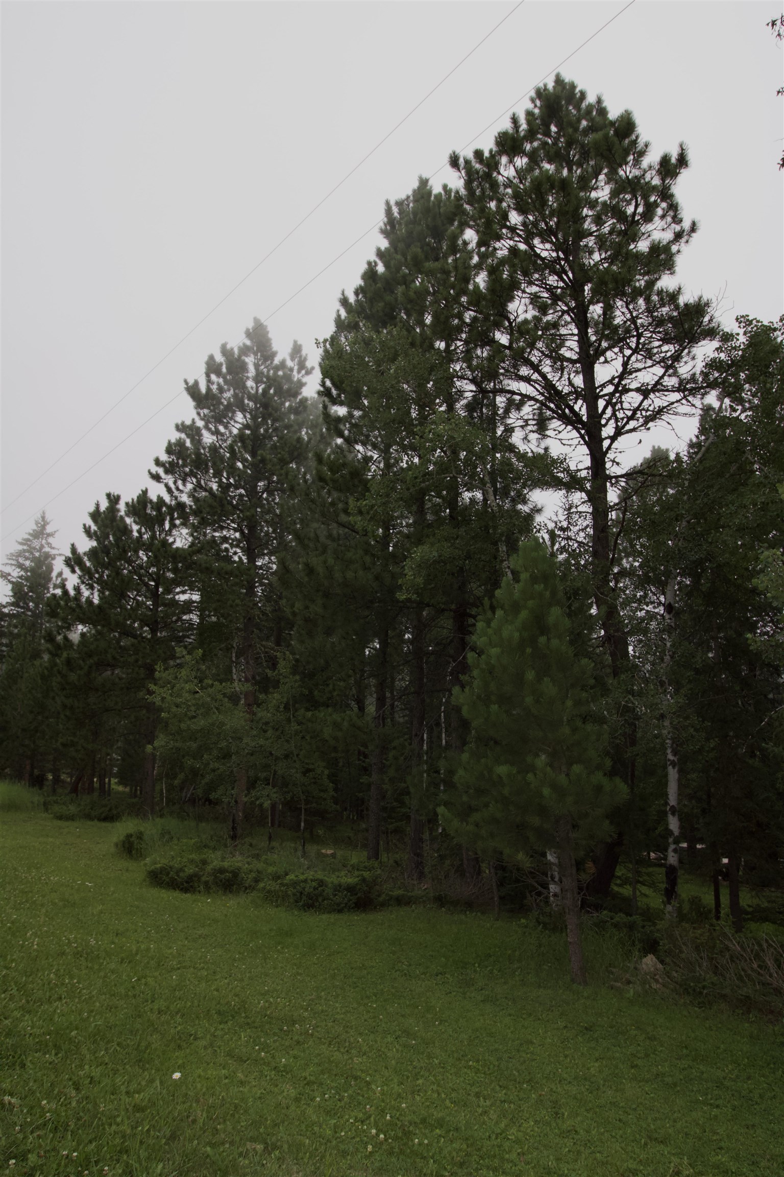 12052 Little Elk Road