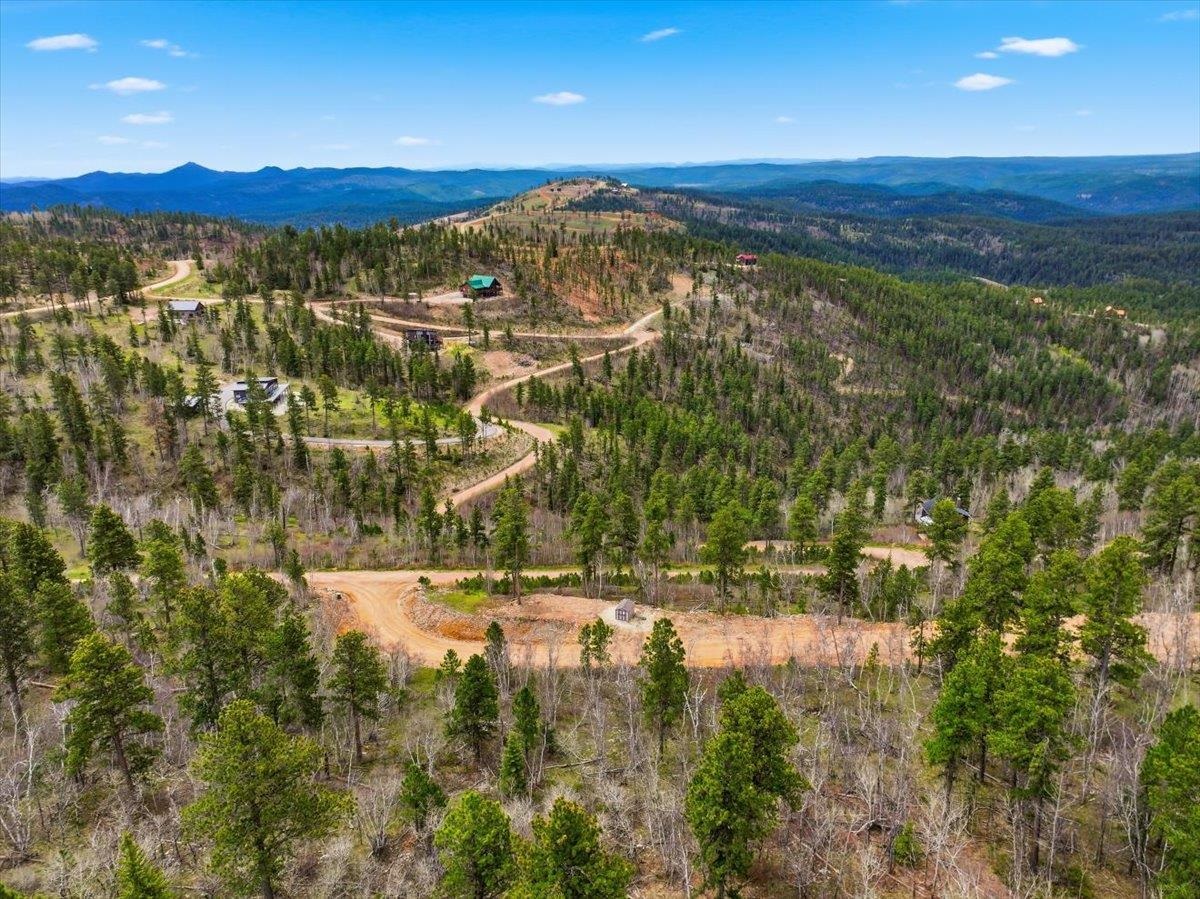 Lot 1