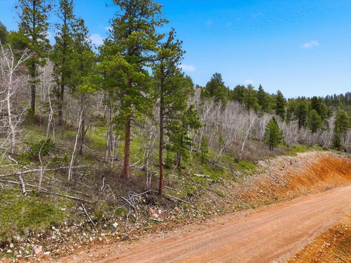 Lot 2