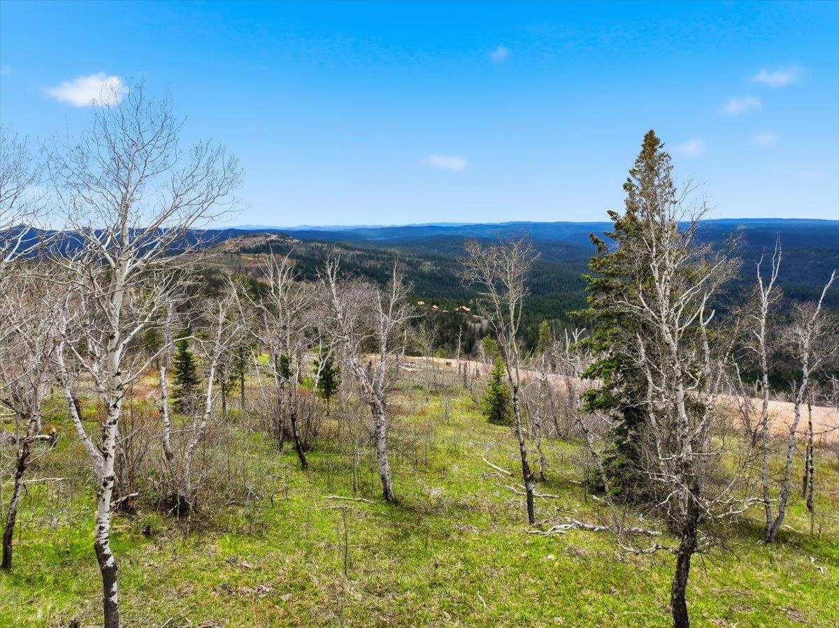 Lot 7 Wapiti Road