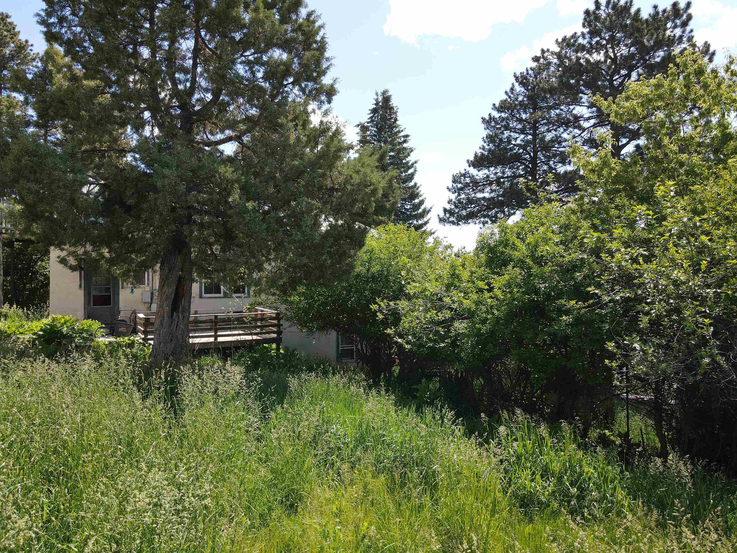 802 Miners Avenue
