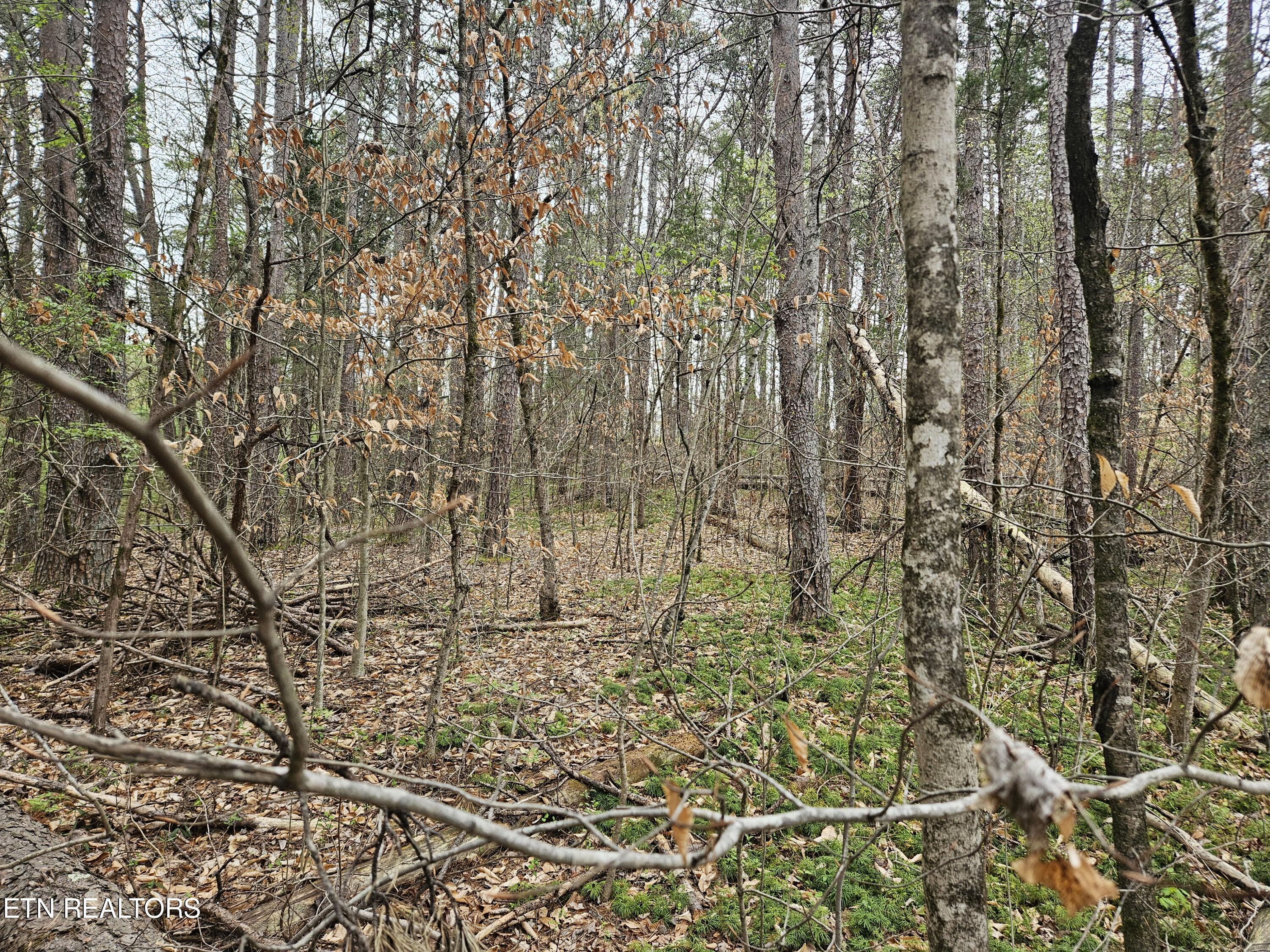 717 W Governor John Sevier Hwy