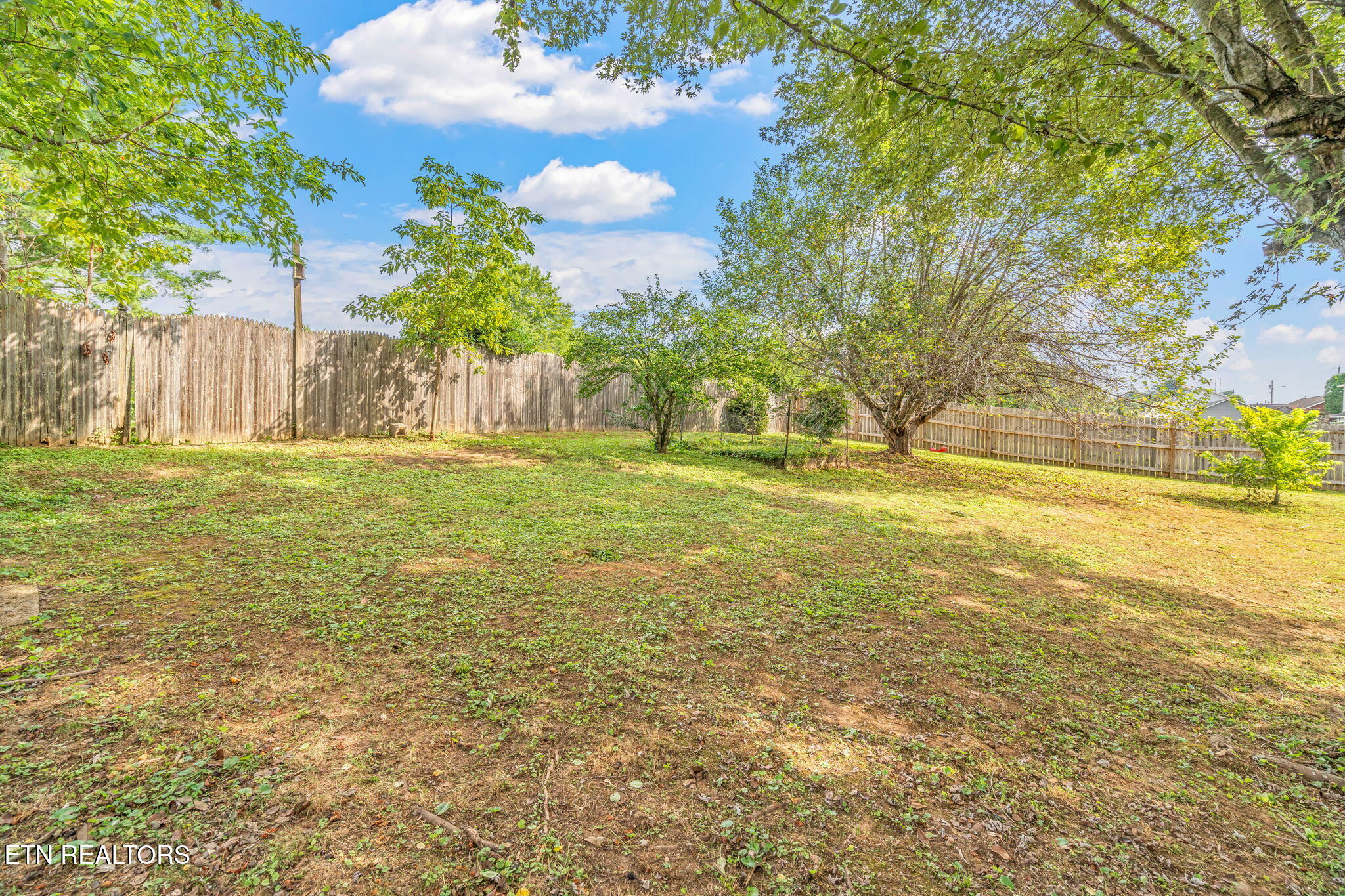 153 Elizabethton Way