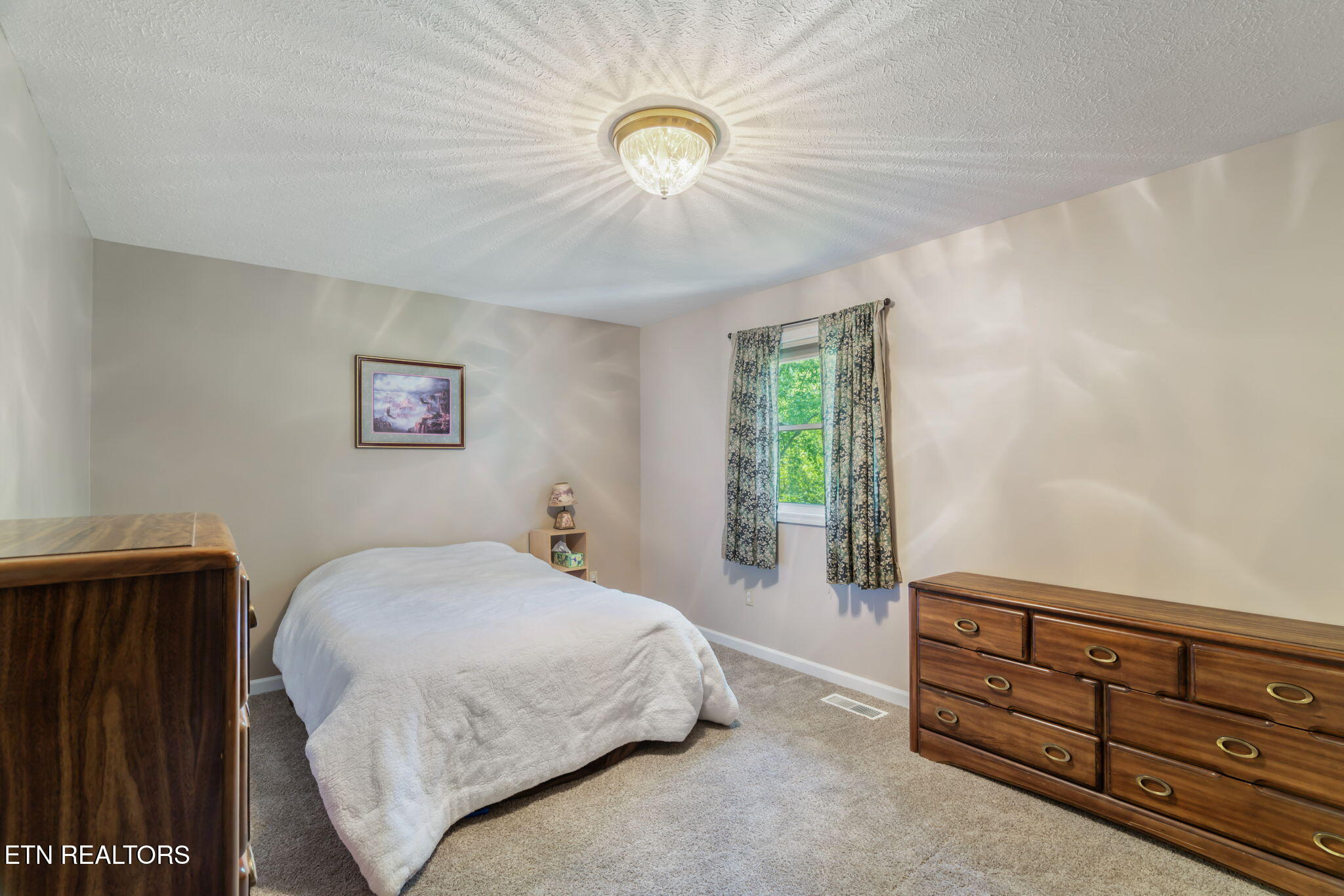 209 Strawberry Lane, Caryville