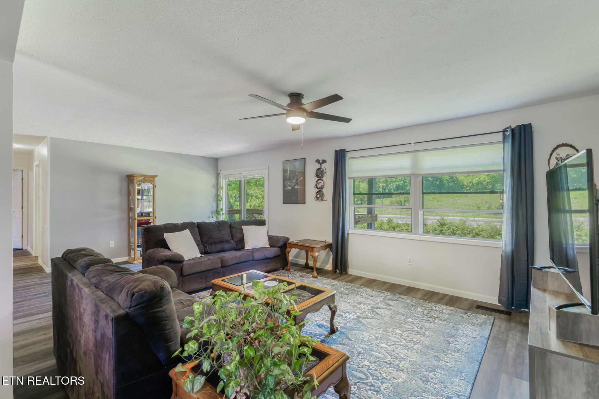 209 Strawberry Lane, Caryville