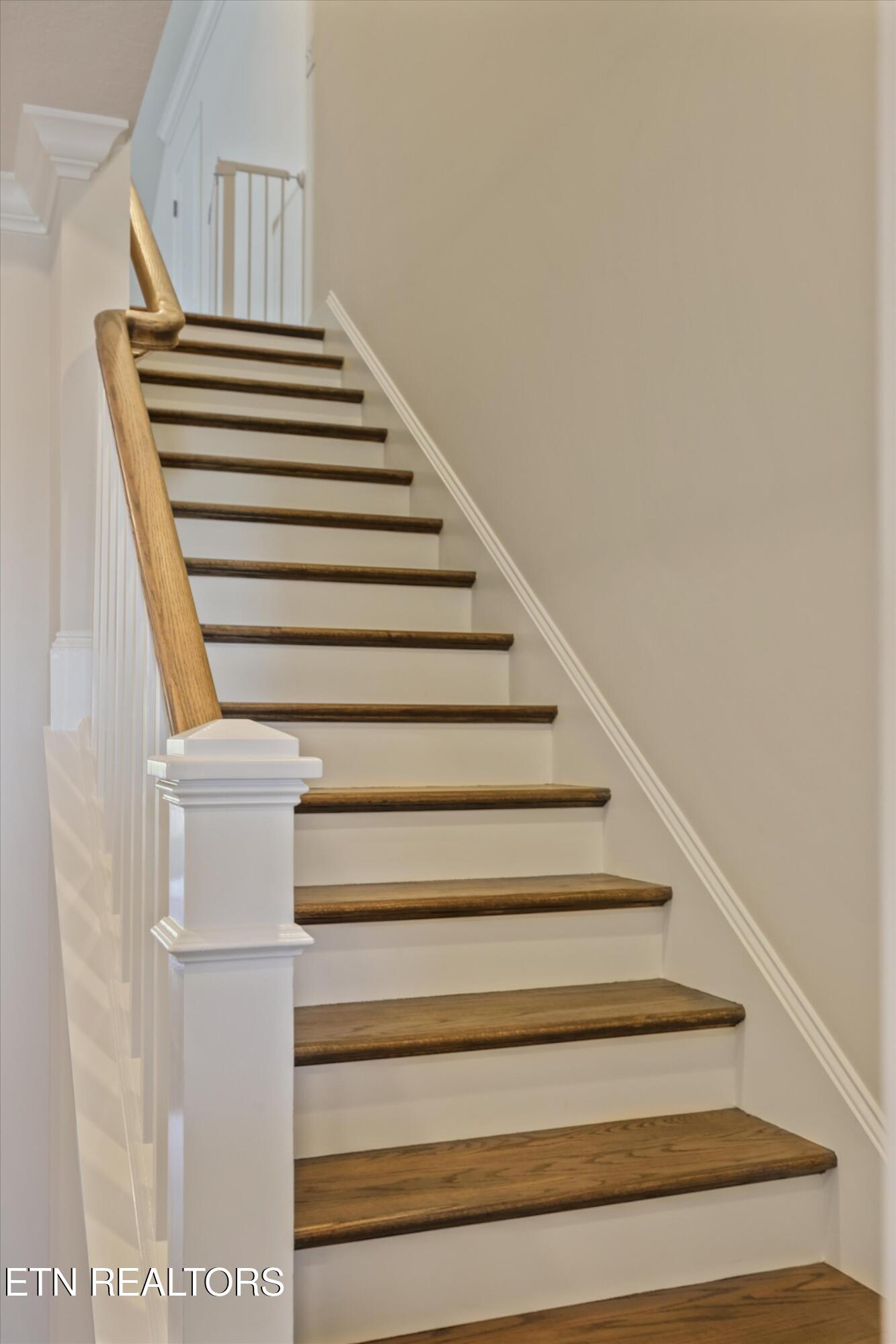 12823 Scarlet Sage Drive