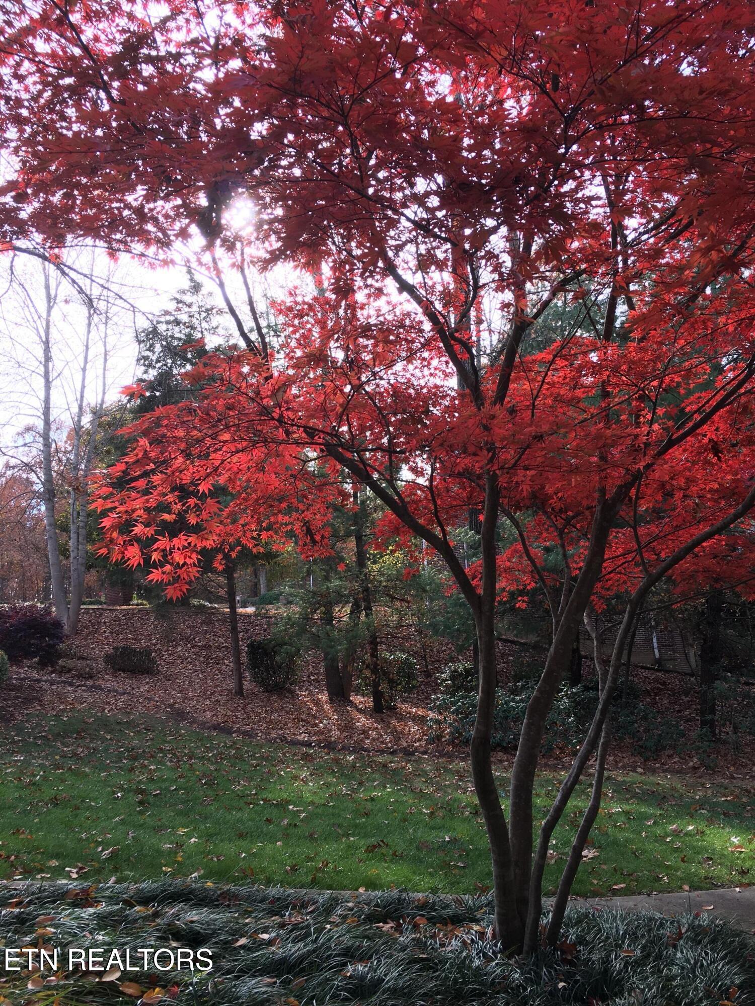 152 Whippoorwill Drive