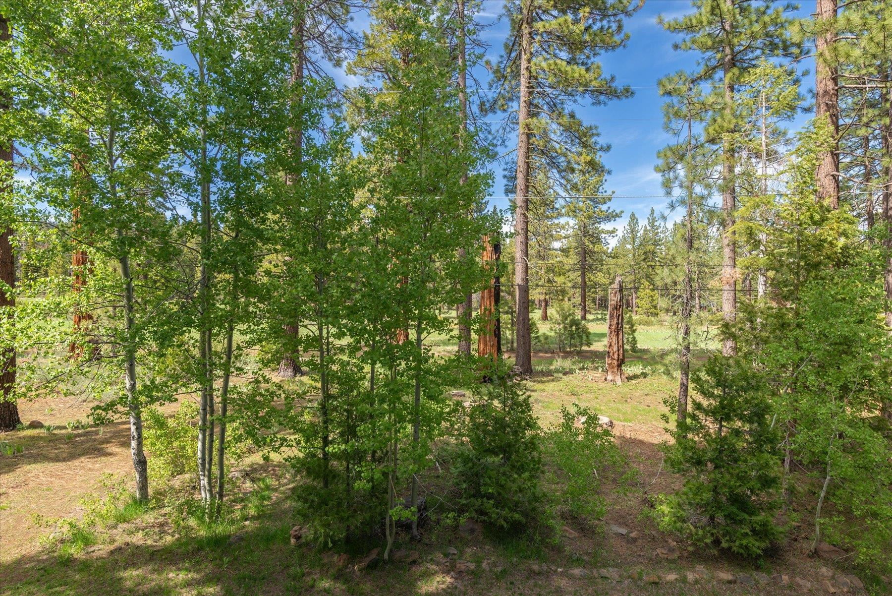 3055 Cedarwood Drive