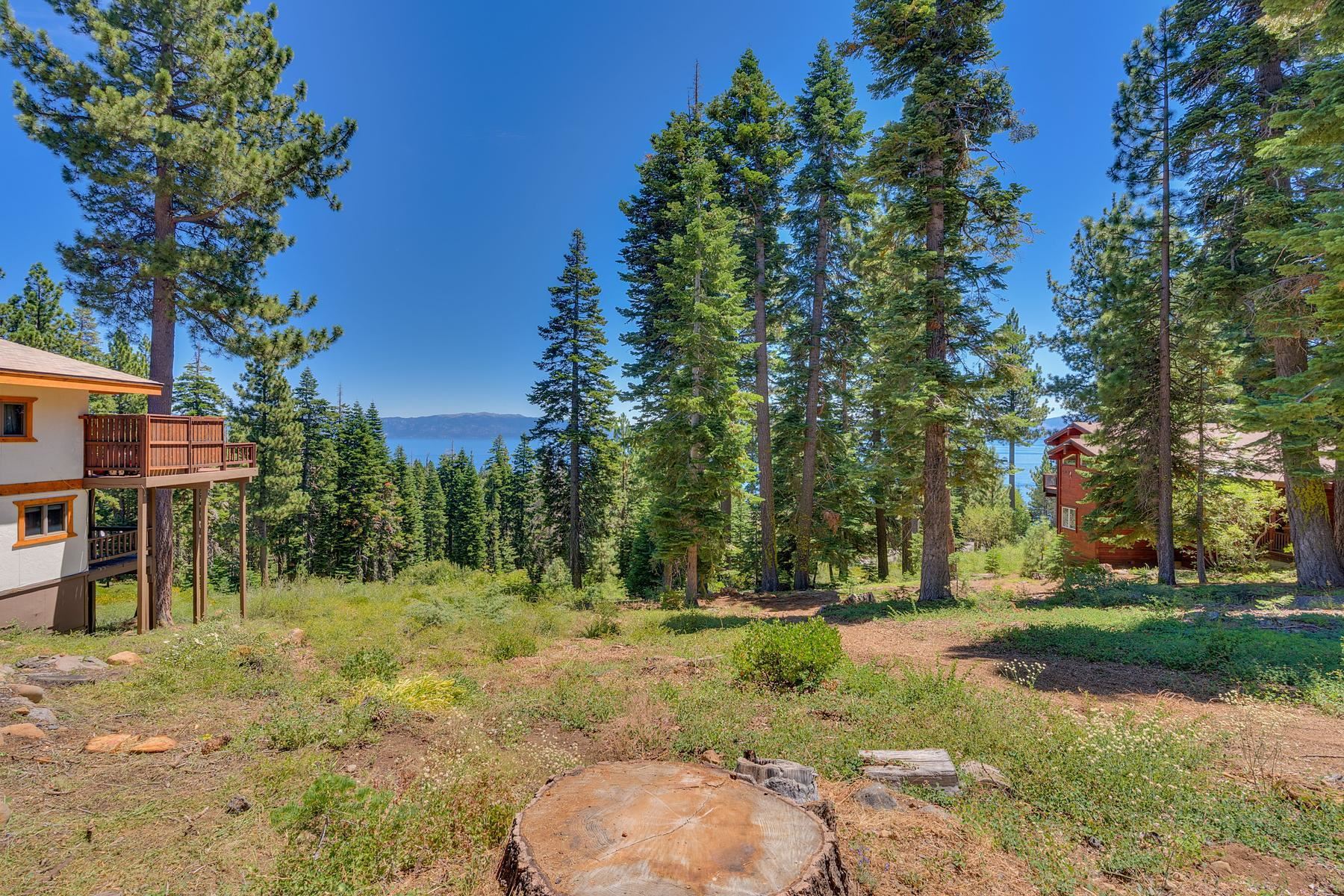 1150 Big Pine Drive