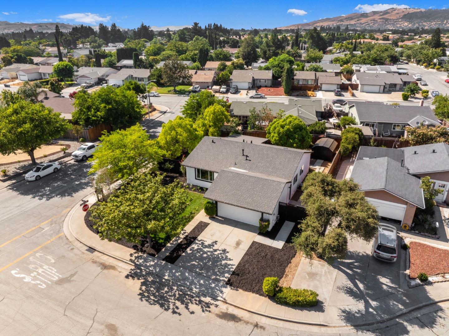 1555 Leafy CT