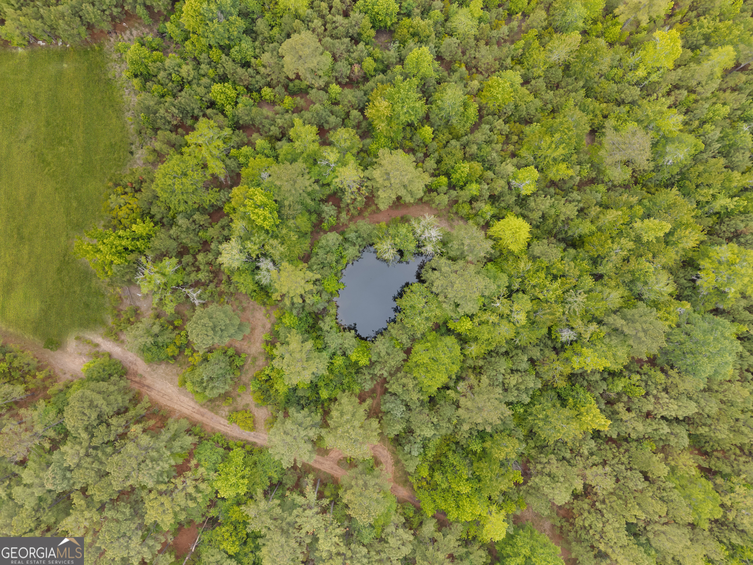2973 Buttermilk Road