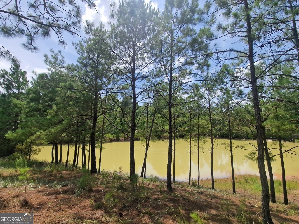 1214 Ga Highway 21 E