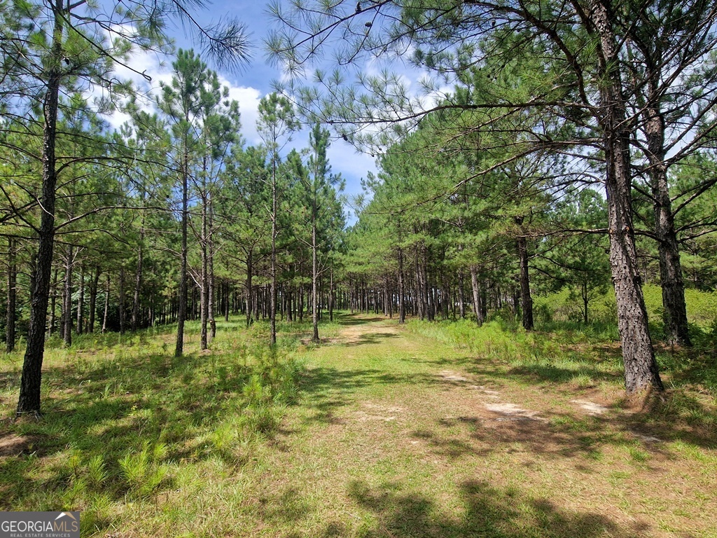 1214 Ga Highway 21 E