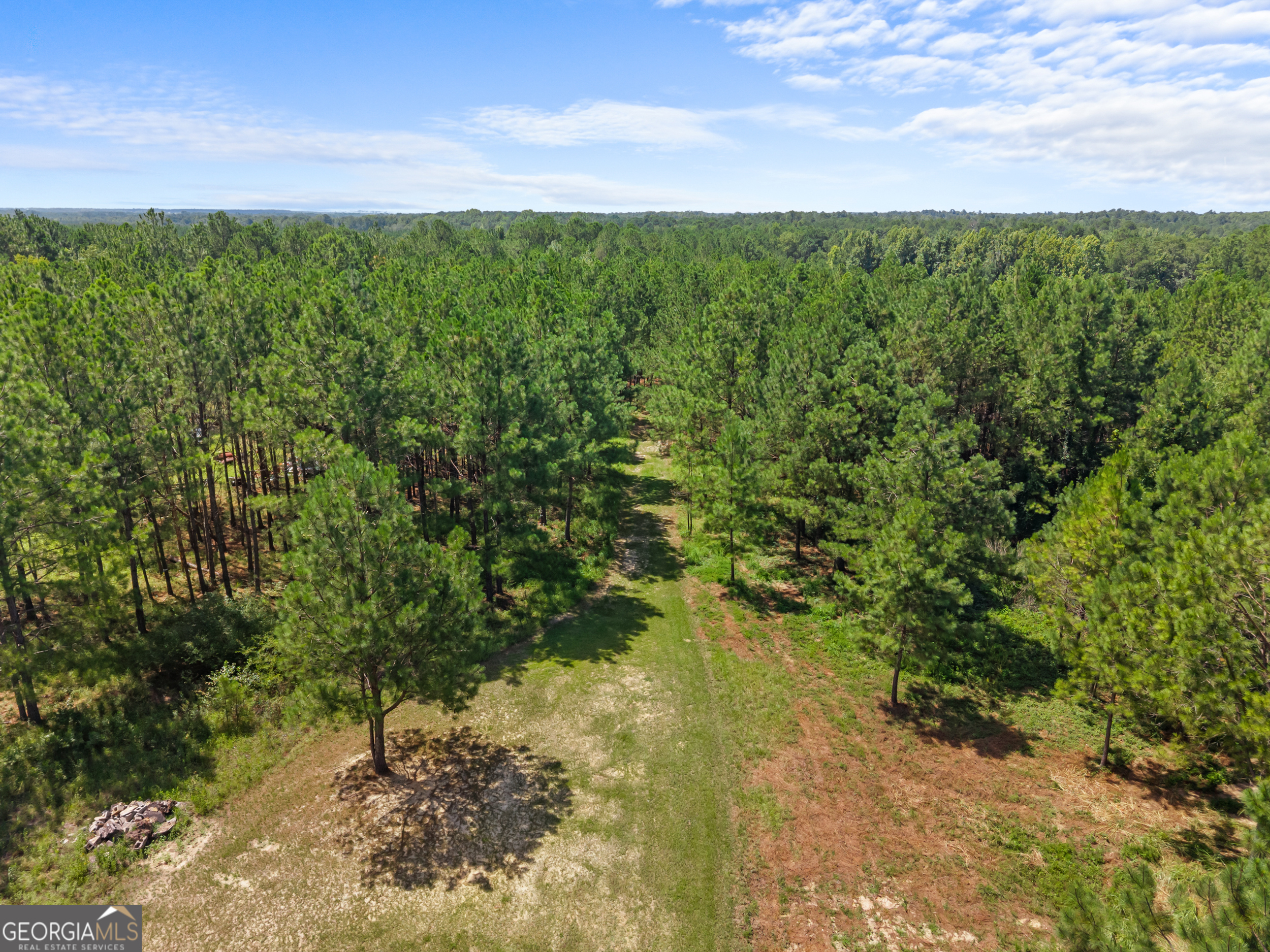 1214 Ga Highway 21 E
