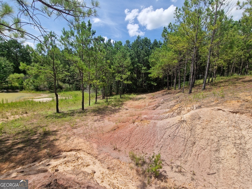 1214 Ga Highway 21 E