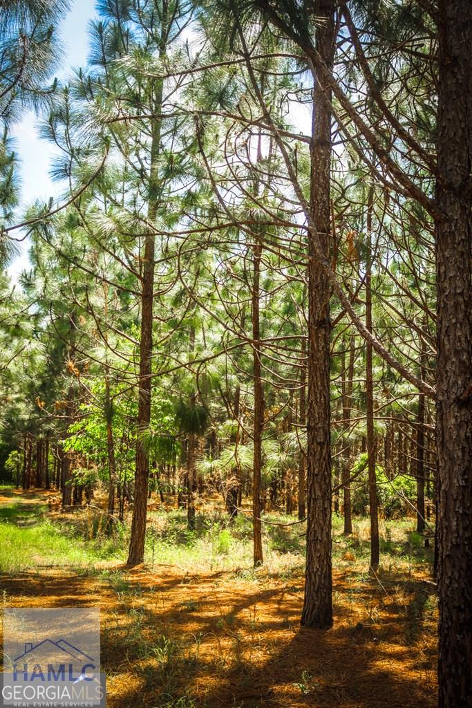 5524 Hooker Branch Road