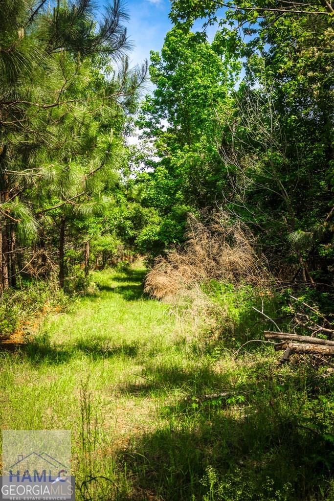 5524 Hooker Branch Road