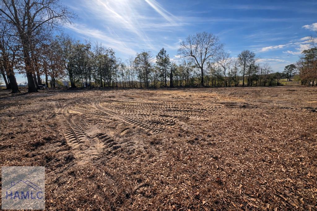 4539 Lewis Church Road