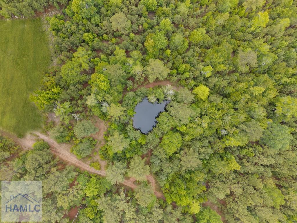 2973 Buttermilk Road