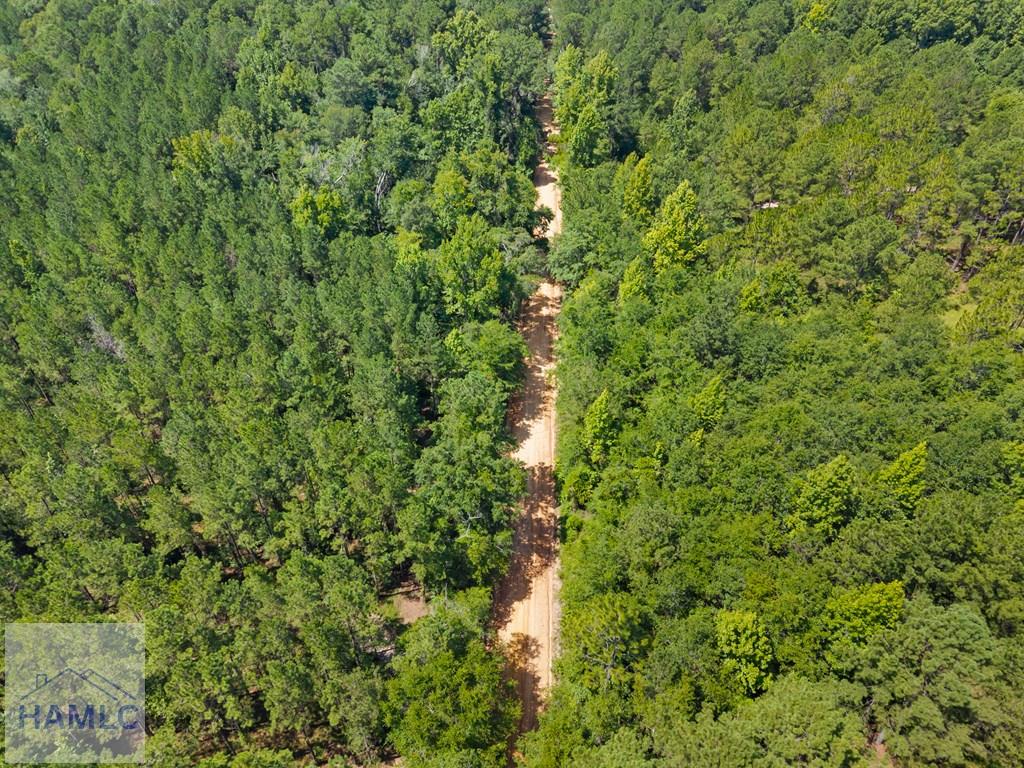 1214 GA Highway 21