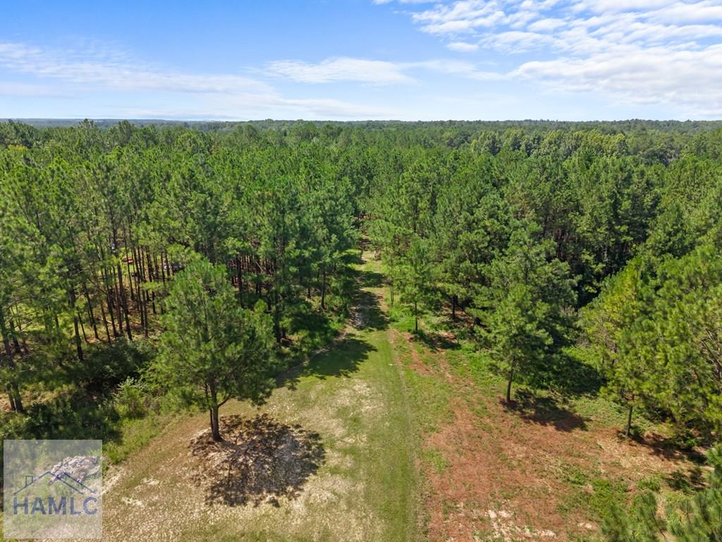 1214 GA Highway 21