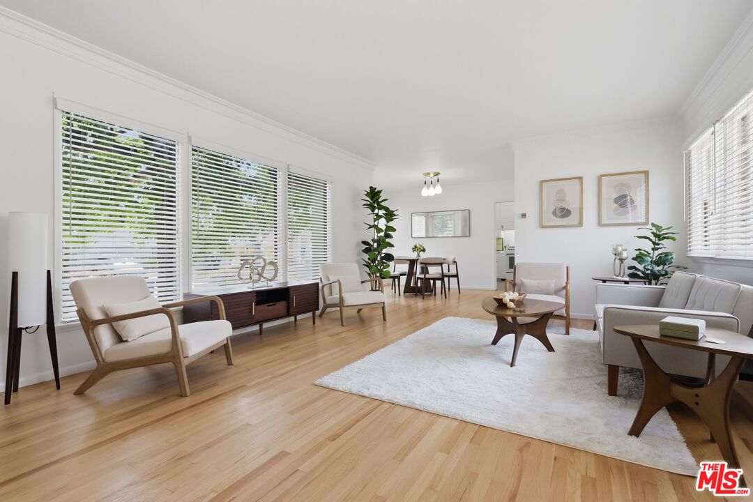 Furnished living room with wide windows, light hardwood floors, and a large white rug.
