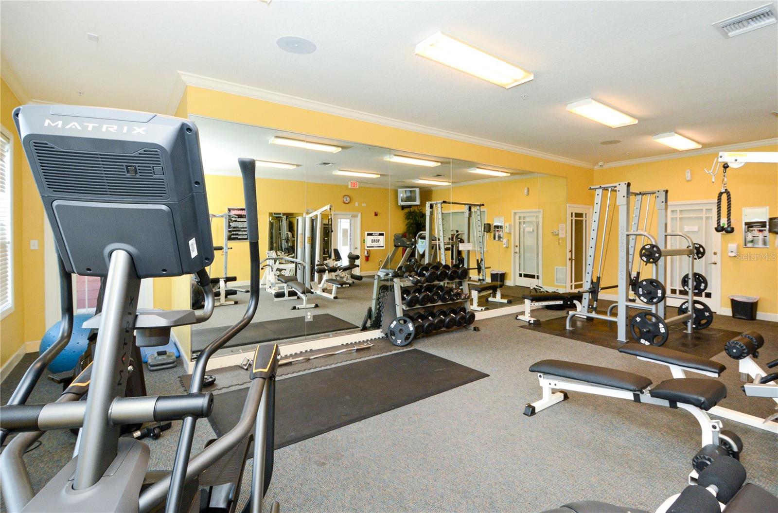 5681 BIDWELL PKWY #101