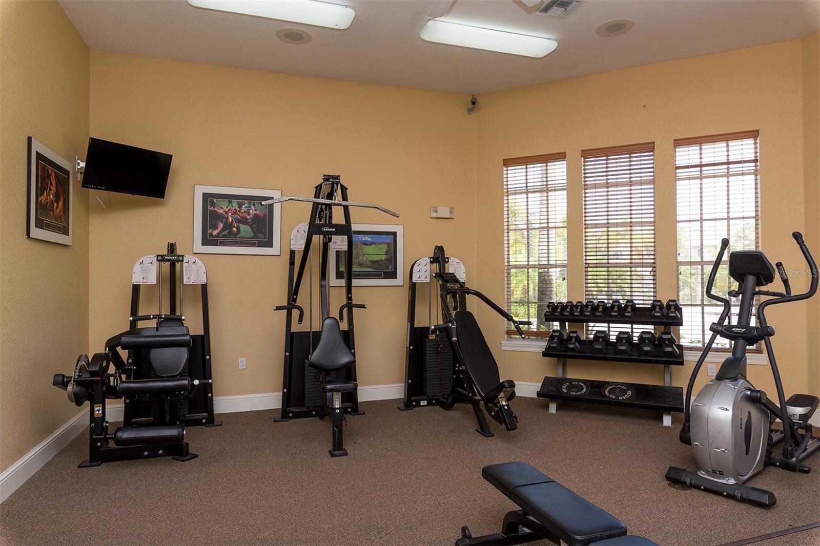 8923 MANOR LOOP #106