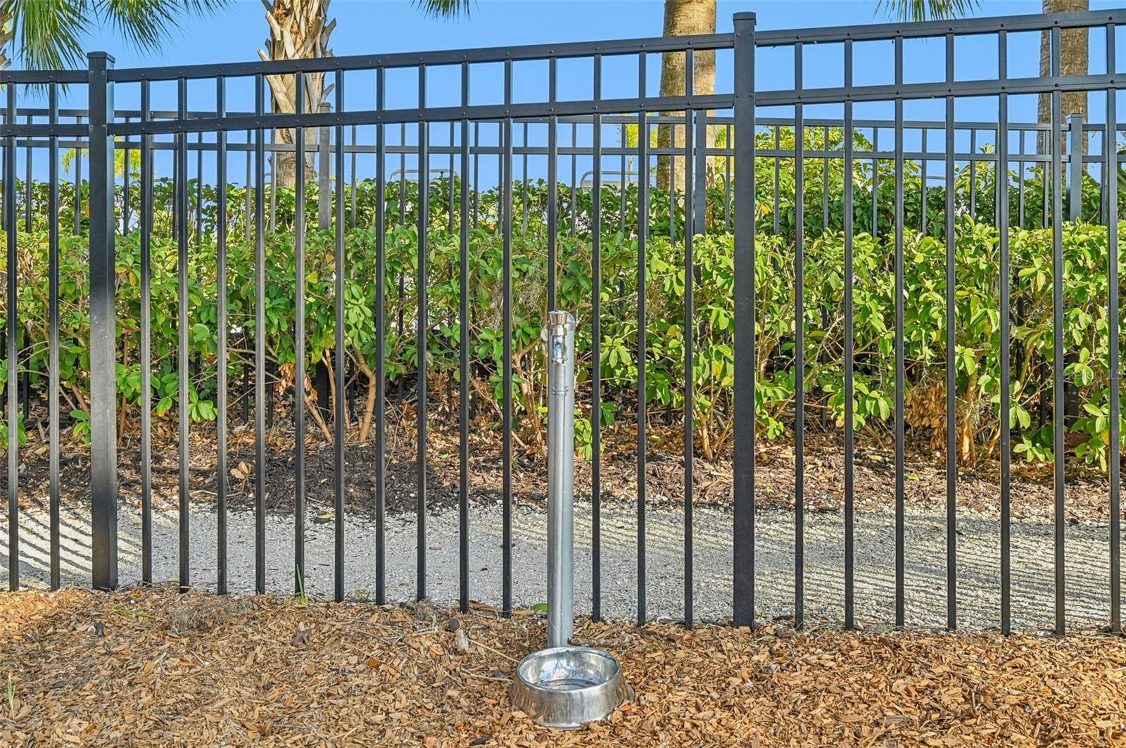 6620 SERENITY FALL LN