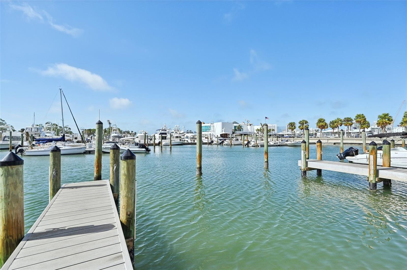 1771 RINGLING BLVD #1001