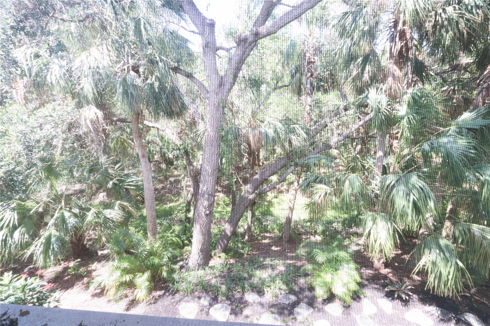 320 CLEARBROOK CIR #203