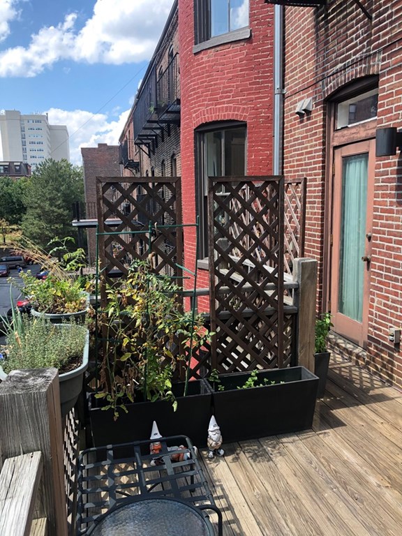 6 Wellington St # 3