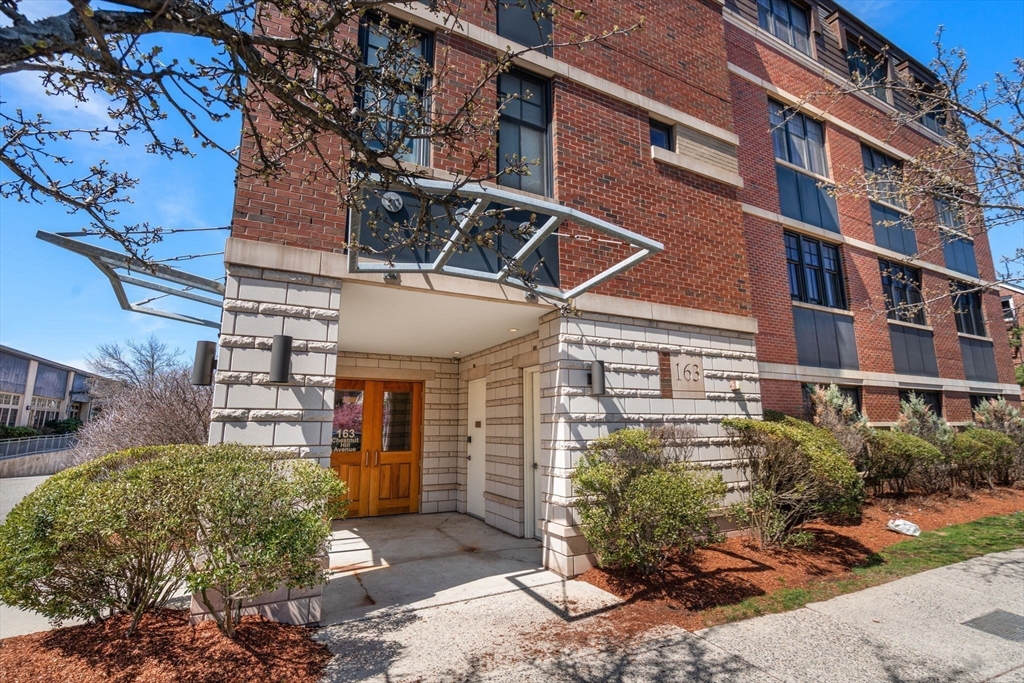 163-165 Chestnut Hill Ave # 102