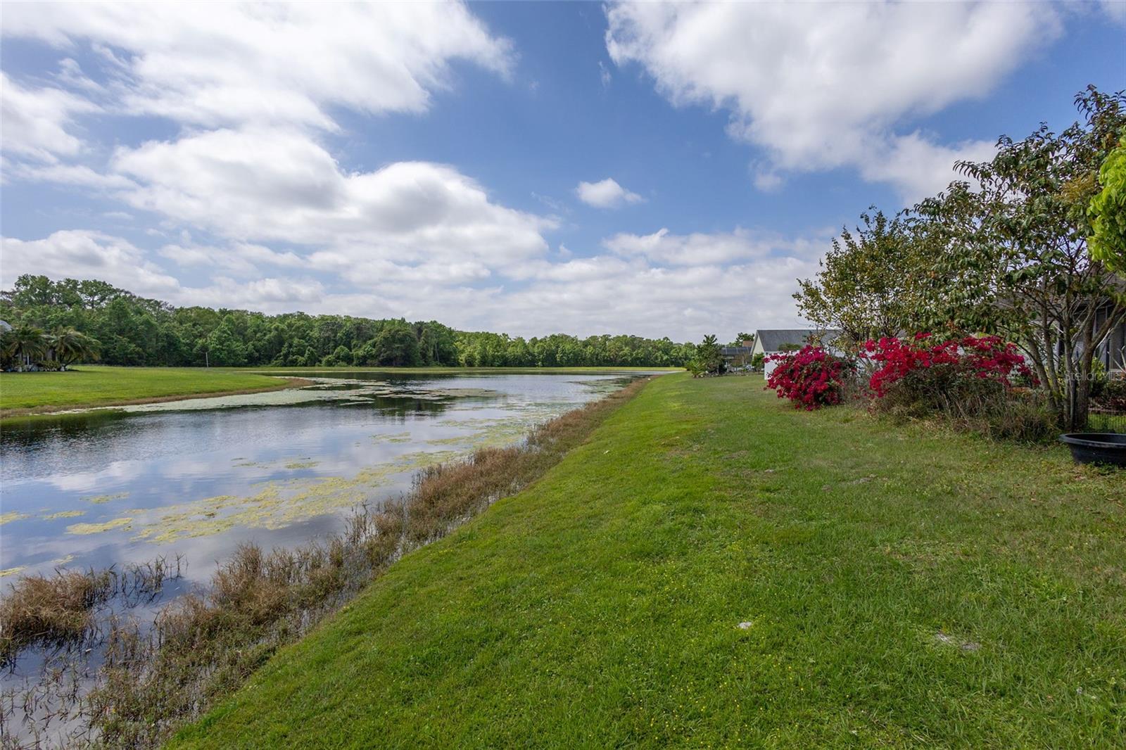 11266 MOONSHINE CREEK CIR