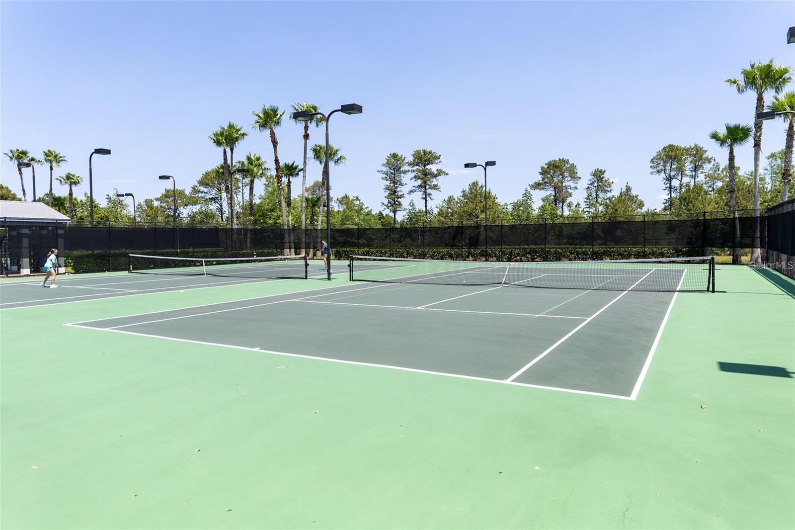 14262 TANJA KING BLVD