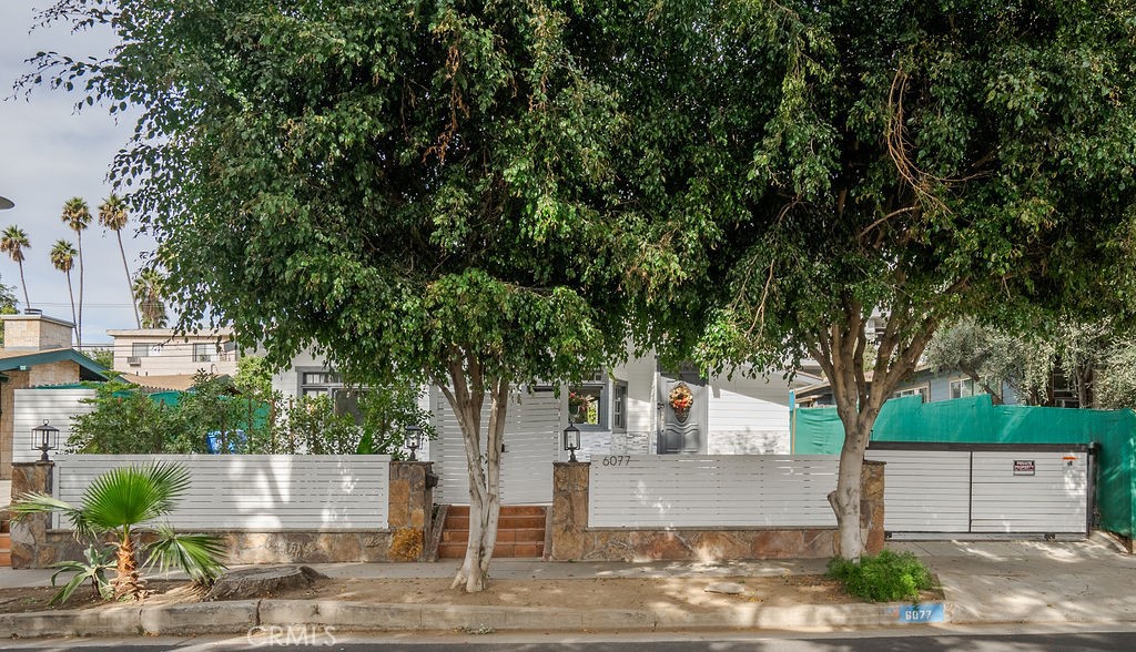 6077 Selma Avenue