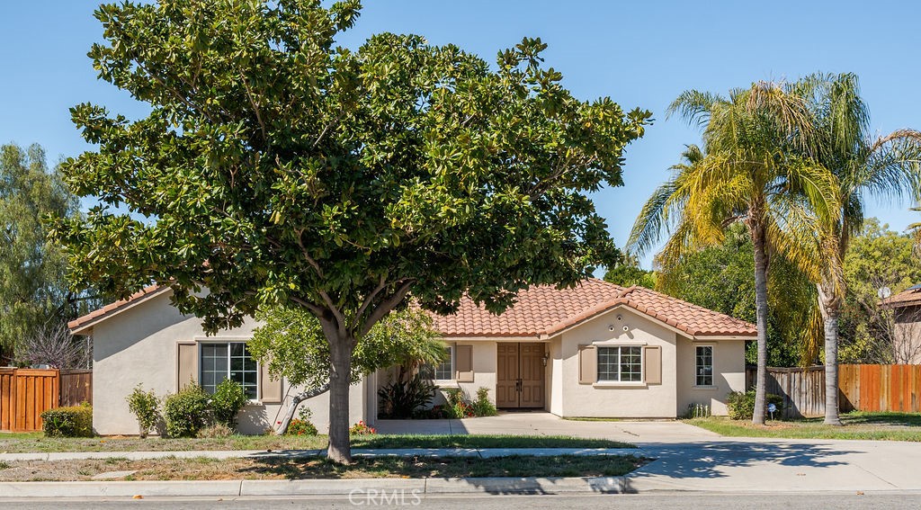 1254 Magnolia Avenue