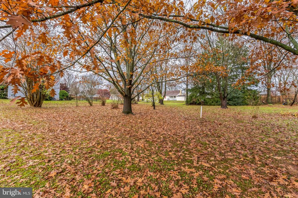 36 FRANKLIN AVENUE