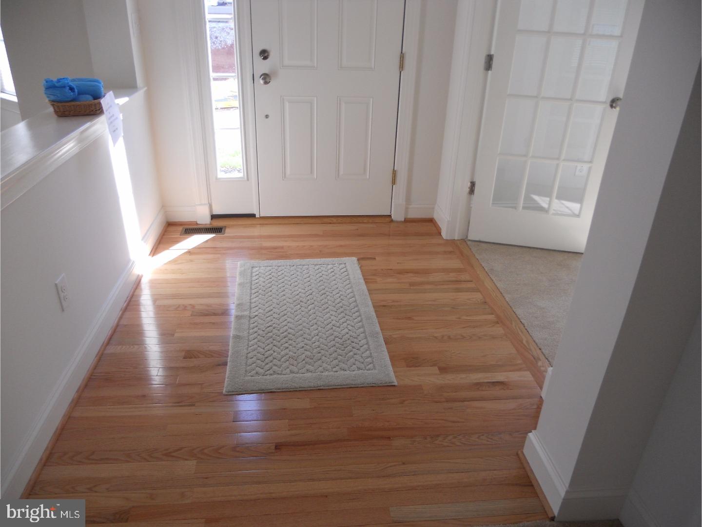119 MAINLAND SQUARE DRIVE