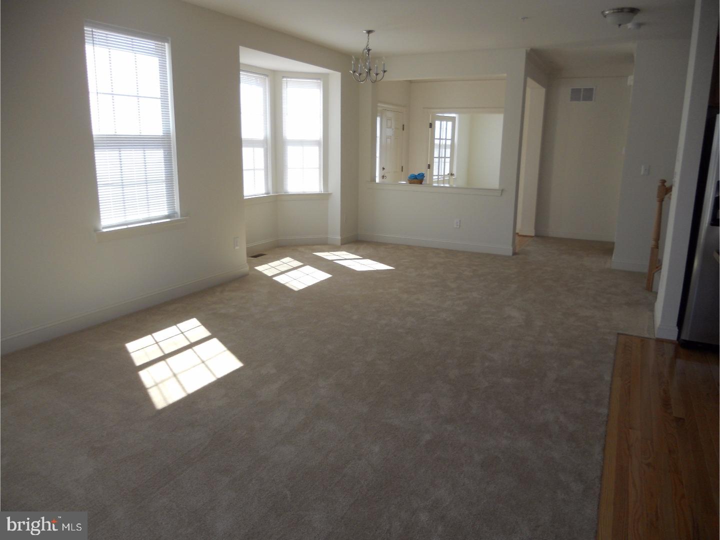 119 MAINLAND SQUARE DRIVE