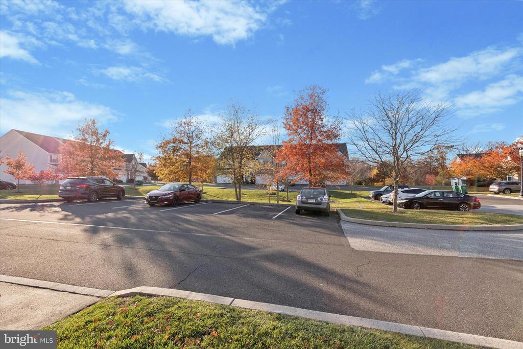 116 BRINDLE COURT