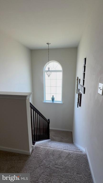 2114 LARKSPUR COURT