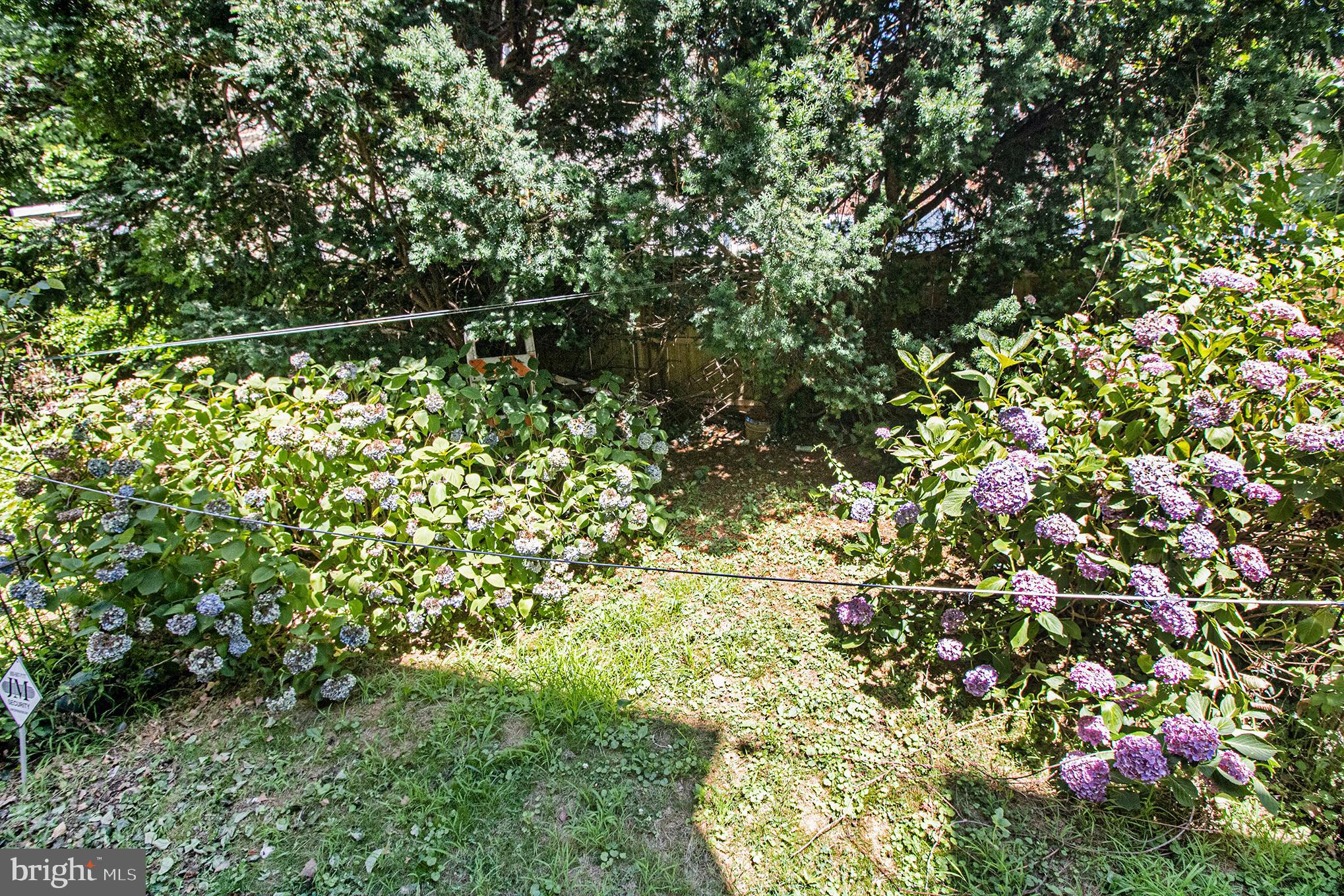 1313 W ELEANOR STREET