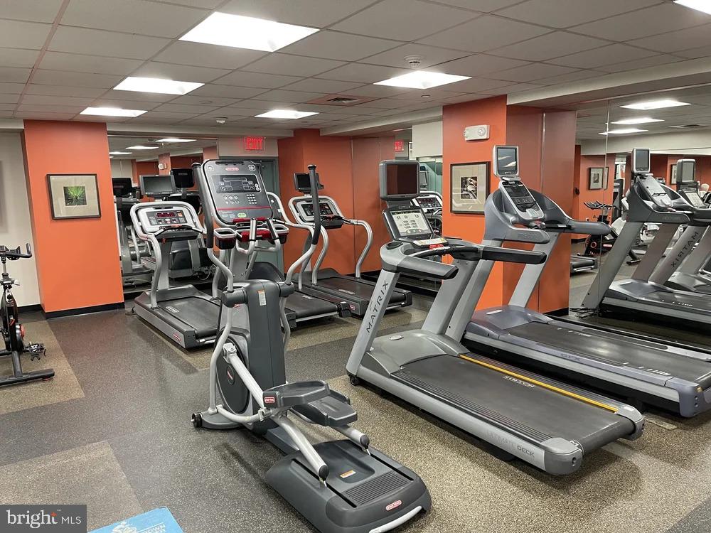 210 LOCUST STREET 15AW