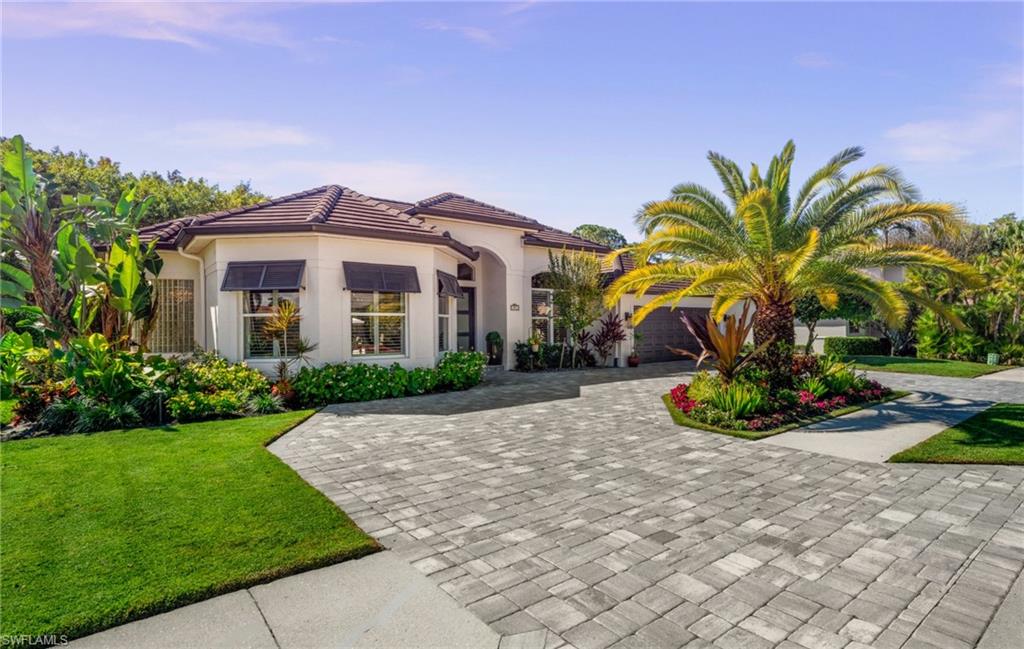 985 Spanish Moss TRL