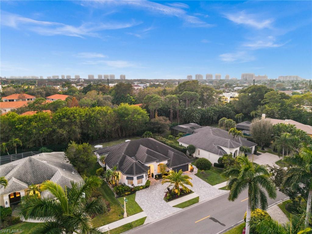 985 Spanish Moss TRL