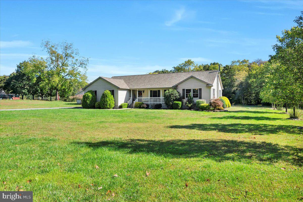 354 Alvine Rd