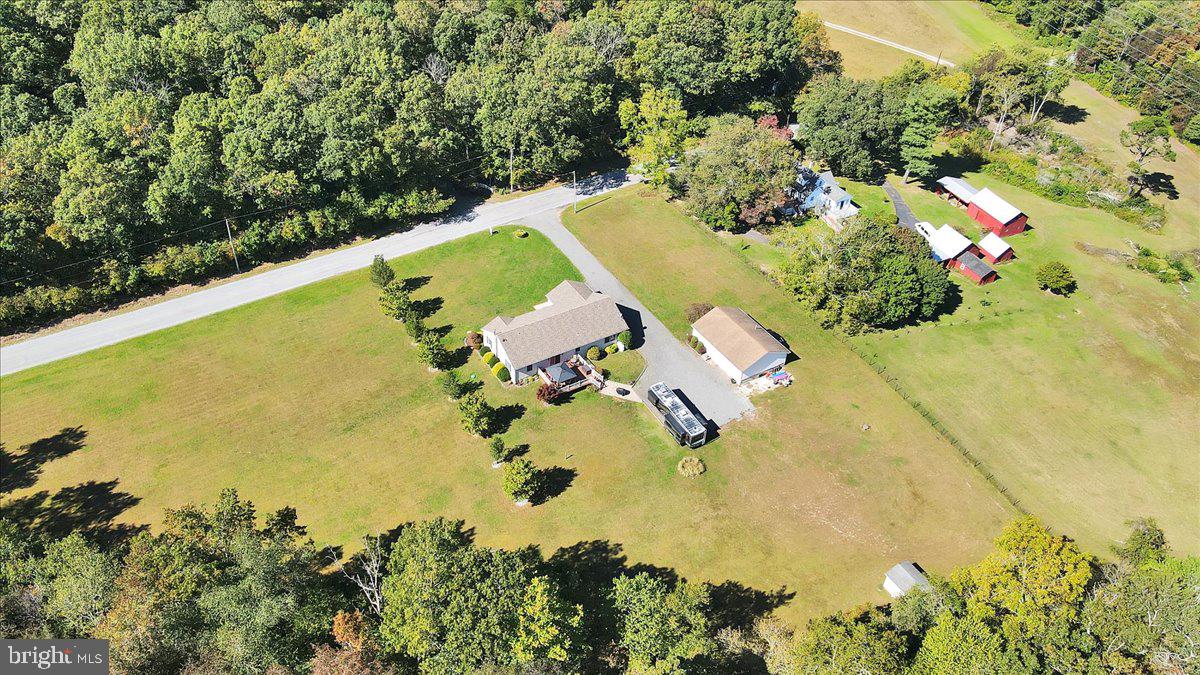 354 Alvine Rd